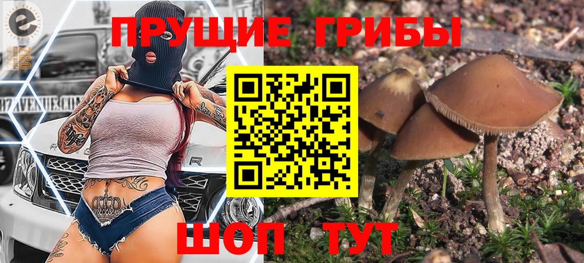 Мытищи  Псилоцибиновые грибы Cubensis  Псилоцибиновые грибы GOLDEN TEACHER  Вход с VPN 